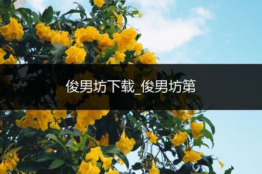 俊男坊下载_俊男坊第