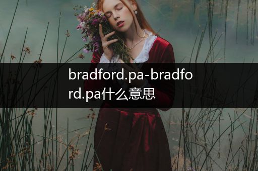 bradford.pa-bradford.pa什么意思