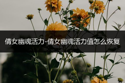 倩女幽魂活力-倩女幽魂活力值怎么恢复