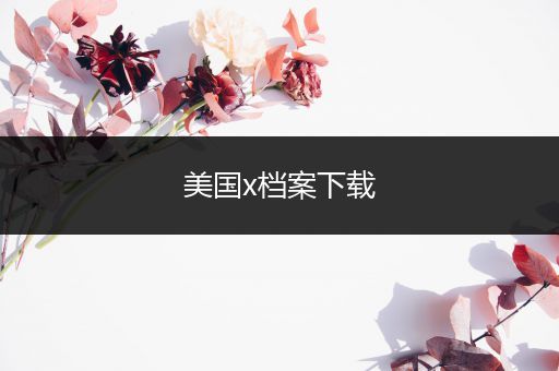 美国x档案下载