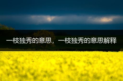 一枝独秀的意思，一枝独秀的意思解释-比翼知识网