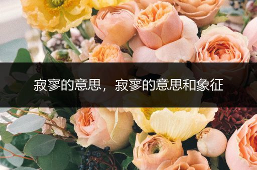 寂寥的意思，寂寥的意思和象征