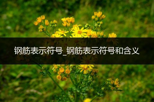 钢筋表示符号_钢筋表示符号和含义