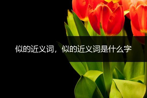 似的近义词，似的近义词是什么字-比翼知识网