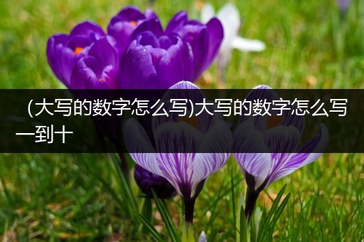 （大写的数字怎么写)大写的数字怎么写一到十