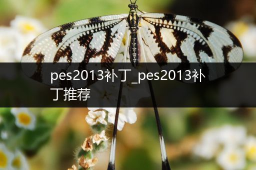pes2013补丁_pes2013补丁推荐