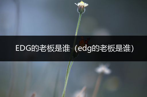 EDG的老板是谁（edg的老板是谁）