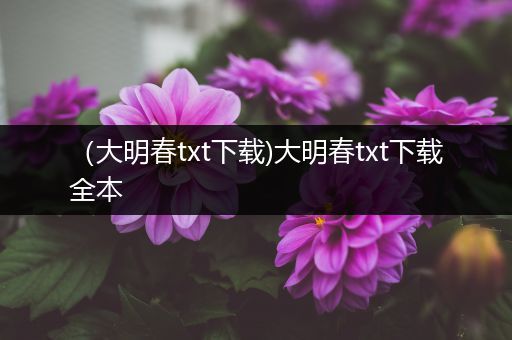（大明春txt下载)大明春txt下载全本