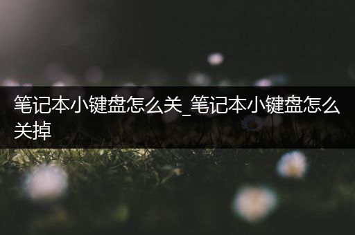 笔记本小键盘怎么关_笔记本小键盘怎么关掉