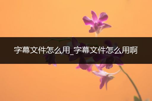 字幕文件怎么用_字幕文件怎么用啊