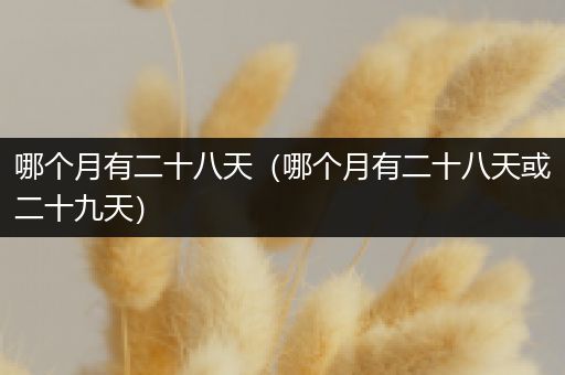 哪个月有二十八天（哪个月有二十八天或二十九天）