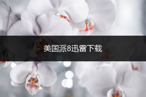 美国派8迅雷下载