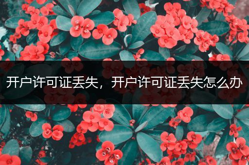 开户许可证丢失，开户许可证丢失怎么办