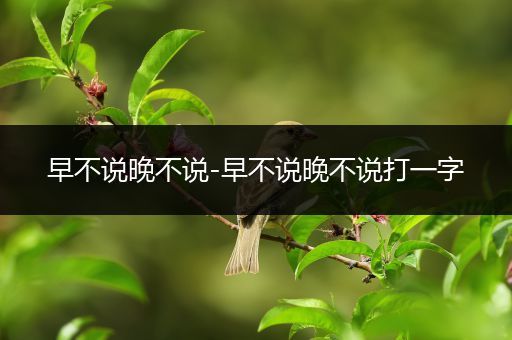 早不说晚不说-早不说晚不说打一字