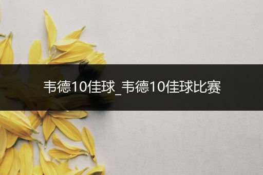 韦德10佳球_韦德10佳球比赛