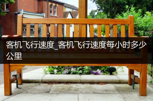 客机飞行速度_客机飞行速度每小时多少公里