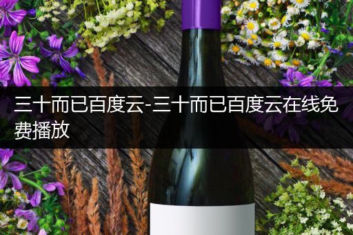 三十而已百度云-三十而已百度云在线免费播放