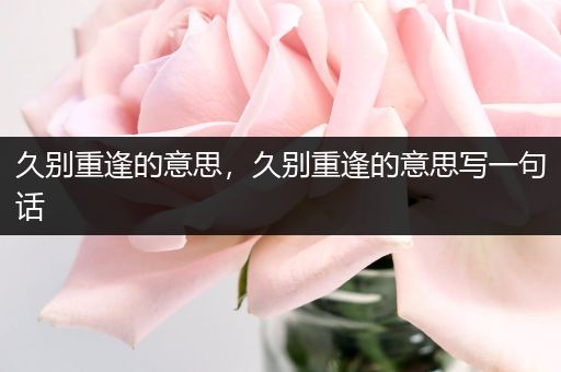 久别重逢的意思，久别重逢的意思写一句话
