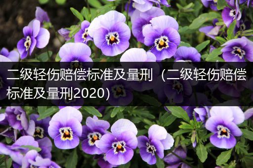 二级轻伤赔偿标准及量刑（二级轻伤赔偿标准及量刑2020）