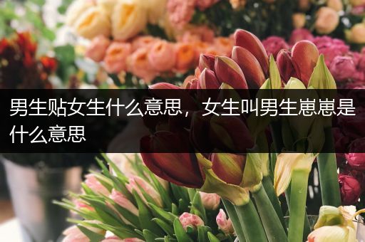 男生贴女生什么意思，女生叫男生崽崽是什么意思