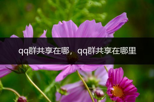 qq群共享在哪，qq群共享在哪里