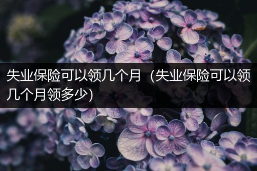 失业保险可以领几个月（失业保险可以领几个月领多少）