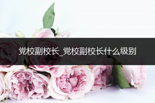 党校副校长_党校副校长什么级别
