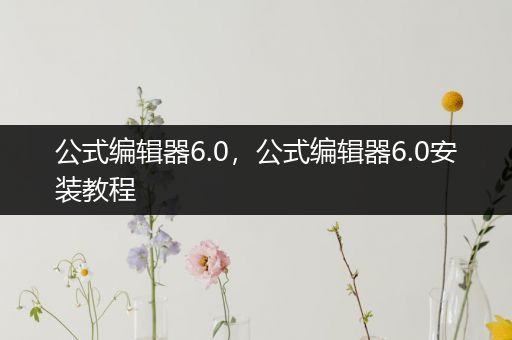 公式编辑器6.0，公式编辑器6.0安装教程