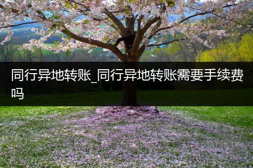 同行异地转账_同行异地转账需要手续费吗