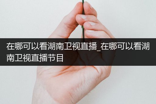 在哪可以看湖南卫视直播_在哪可以看湖南卫视直播节目