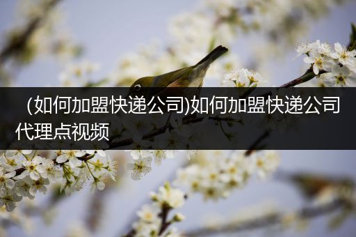 （如何加盟快递公司)如何加盟快递公司代理点视频