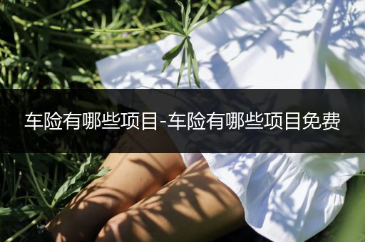 车险有哪些项目-车险有哪些项目免费