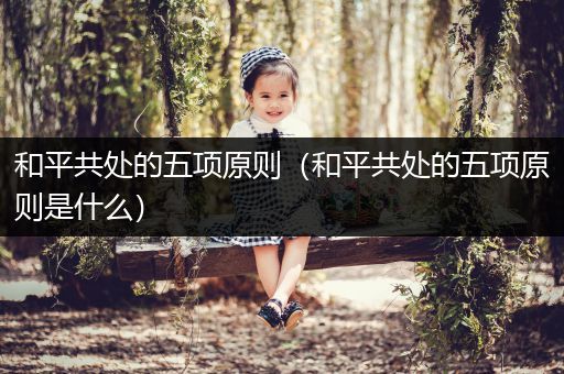 和平共处的五项原则（和平共处的五项原则是什么）