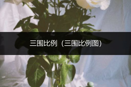 三围比例（三围比例图）