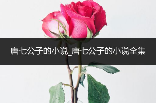 唐七公子的小说_唐七公子的小说全集