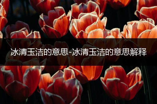 冰清玉洁的意思-冰清玉洁的意思解释