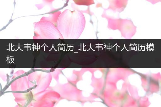 北大韦神个人简历_北大韦神个人简历模板