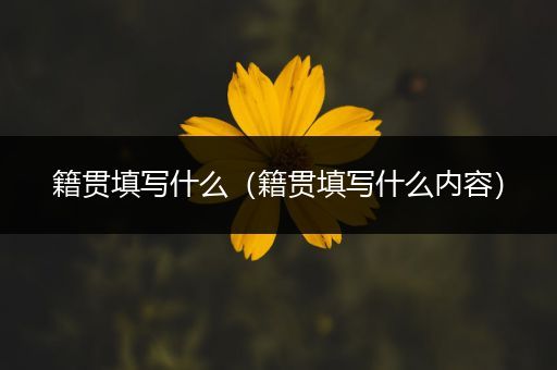 籍贯填写什么（籍贯填写什么内容）