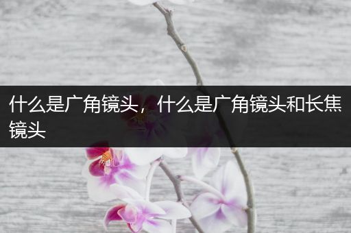 什么是广角镜头，什么是广角镜头和长焦镜头