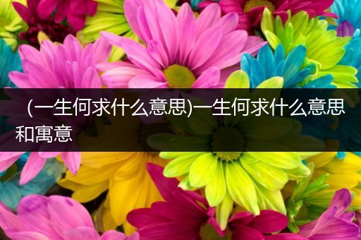（一生何求什么意思)一生何求什么意思和寓意