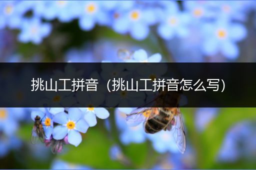 挑山工拼音（挑山工拼音怎么写）