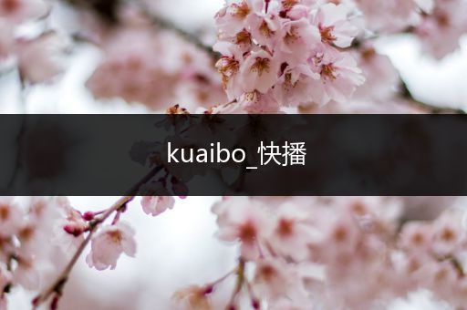 kuaibo_快播