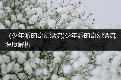 （少年派的奇幻漂流)少年派的奇幻漂流深度解析