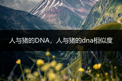 人与猪的DNA，人与猪的dna相似度