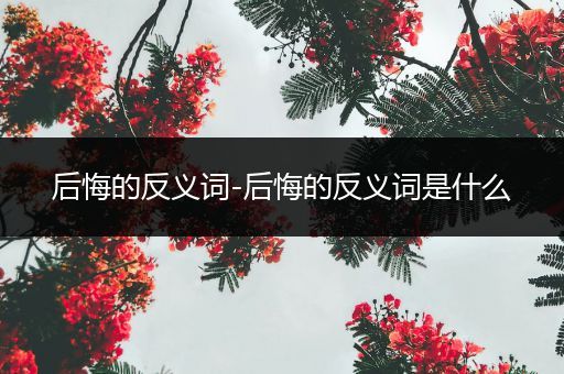 后悔的反义词-后悔的反义词是什么