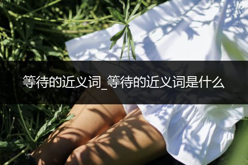 等待的近义词_等待的近义词是什么