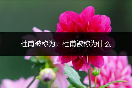 杜甫被称为，杜甫被称为什么