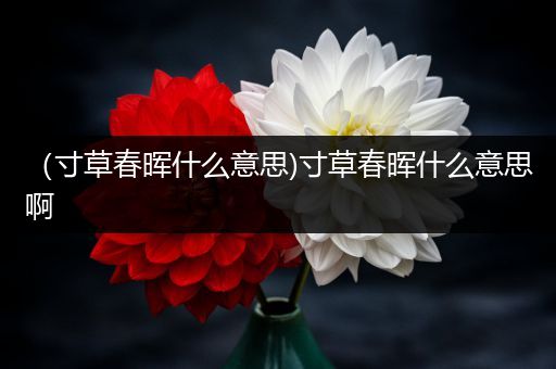 （寸草春晖什么意思)寸草春晖什么意思啊