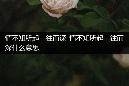 情不知所起一往而深_情不知所起一往而深什么意思