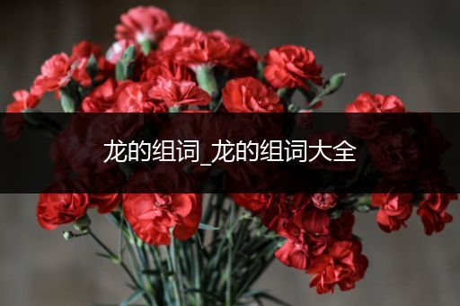 龙的组词_龙的组词大全